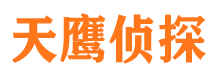 龙南侦探公司